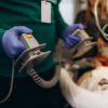 ❤️ Corso ACLS "Advanced Cardiovascular Life Support" - immagine 2